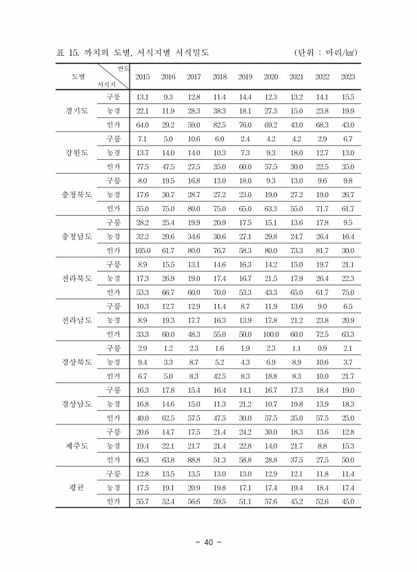 40페이지