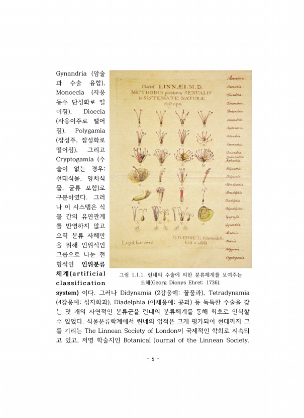 6페이지