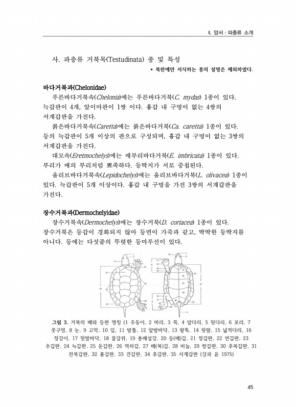 27페이지