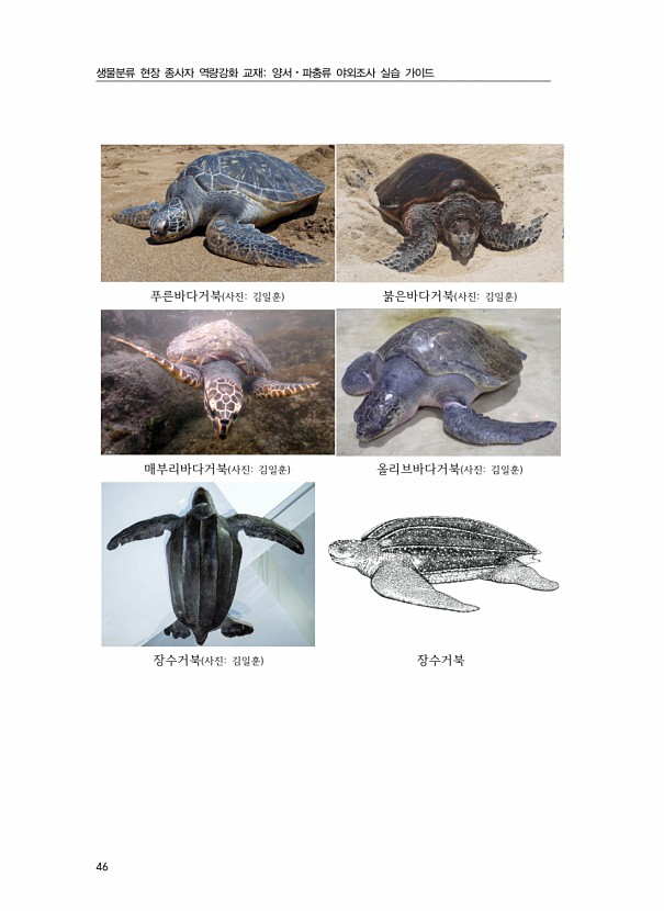 28페이지