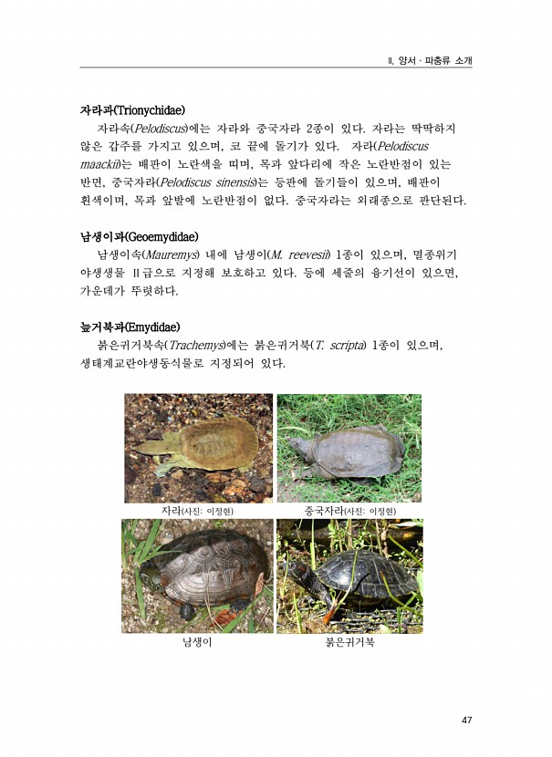 29페이지