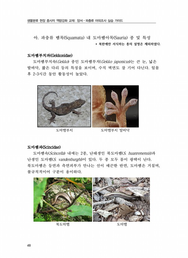 30페이지