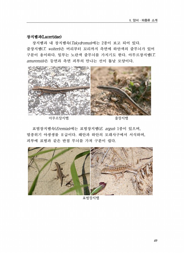 31페이지