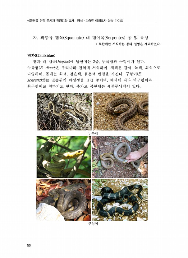 32페이지