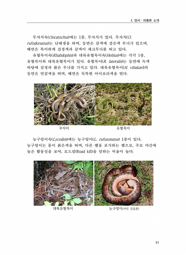 33페이지