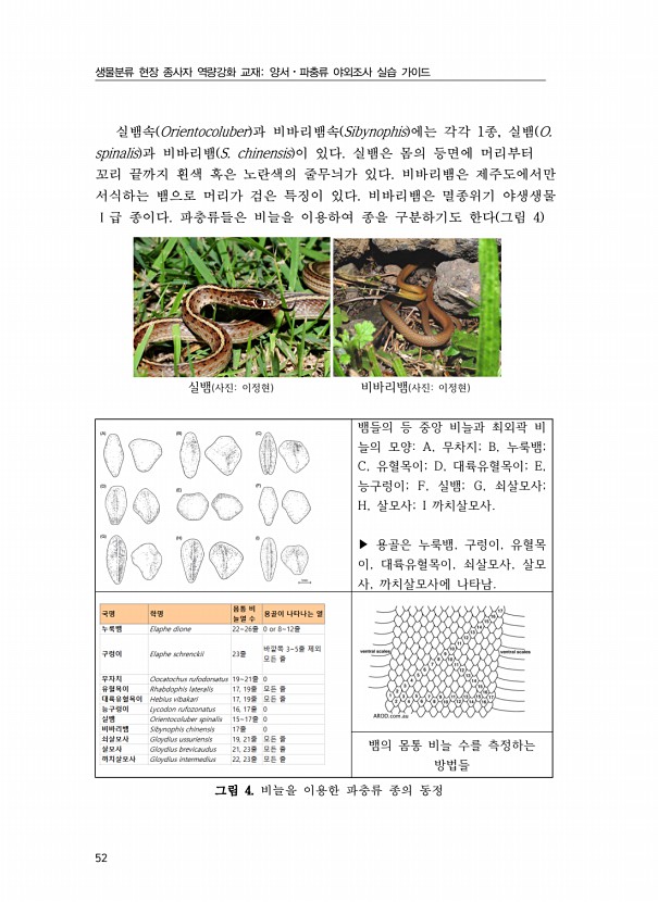 34페이지
