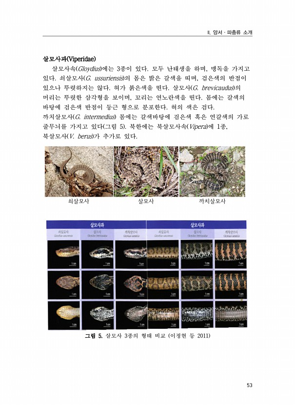 35페이지