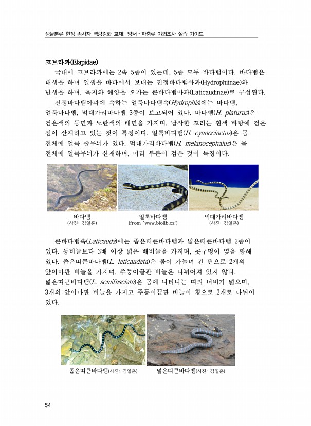 36페이지