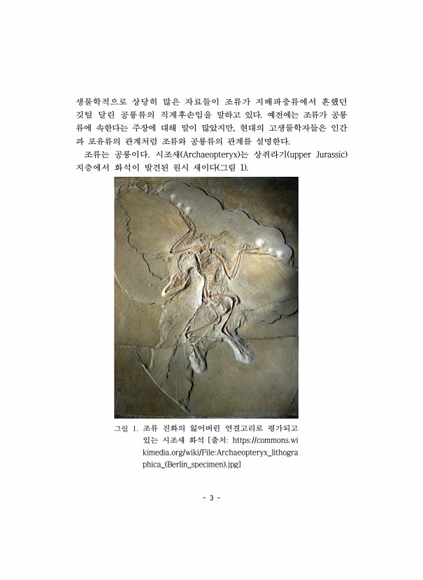 3페이지