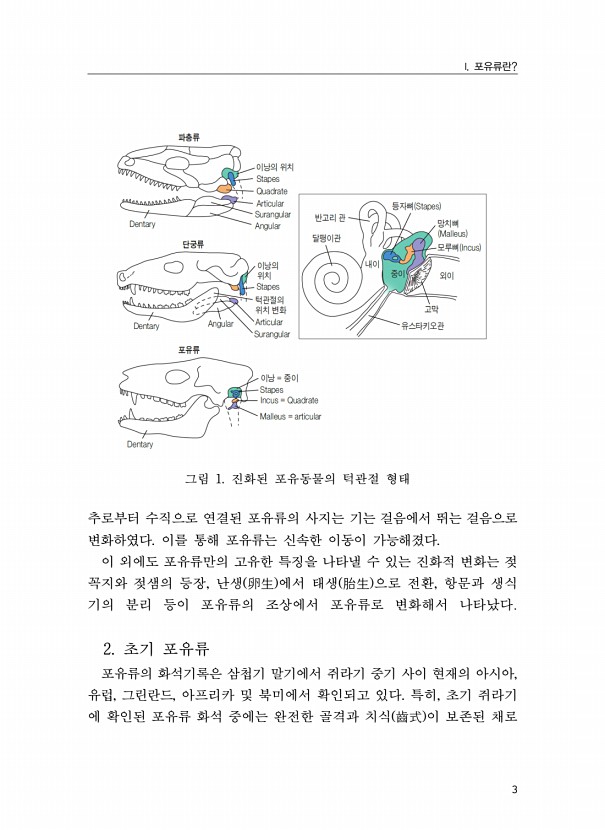 3페이지