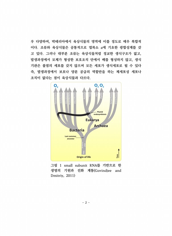 2페이지