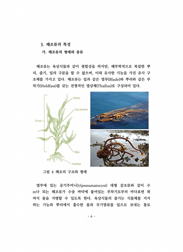 6페이지
