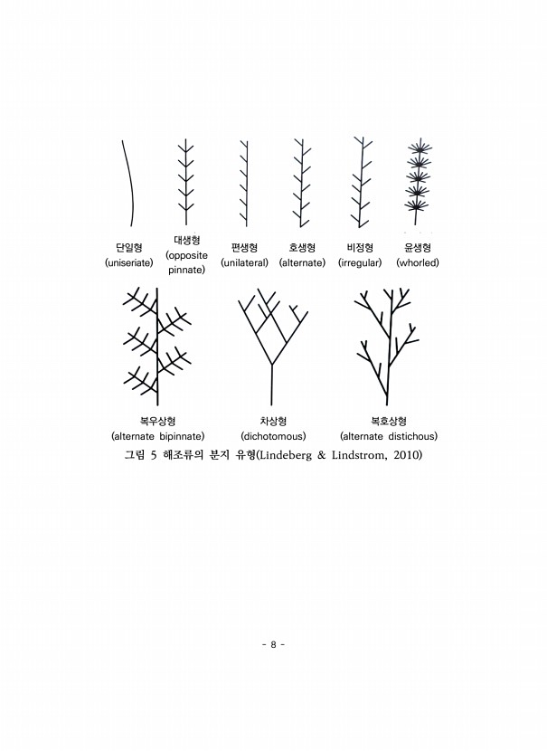 8페이지