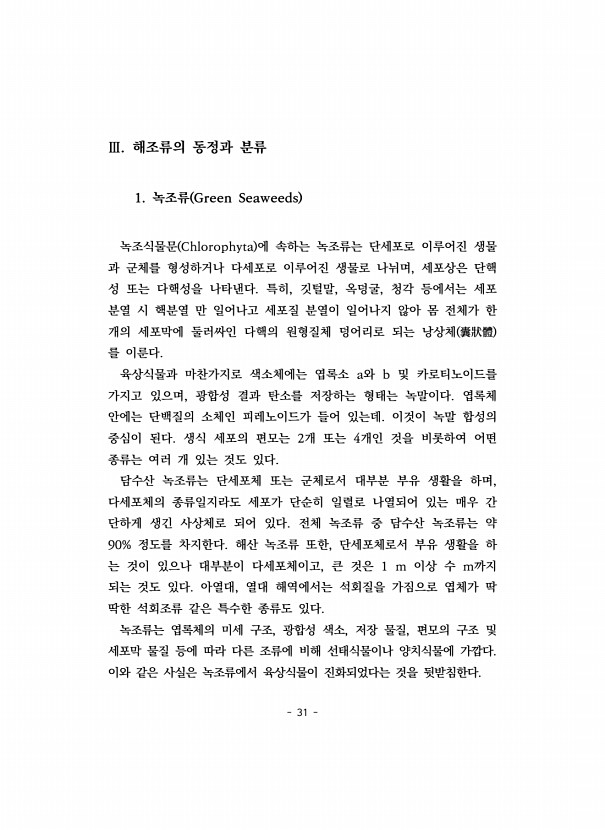 31페이지