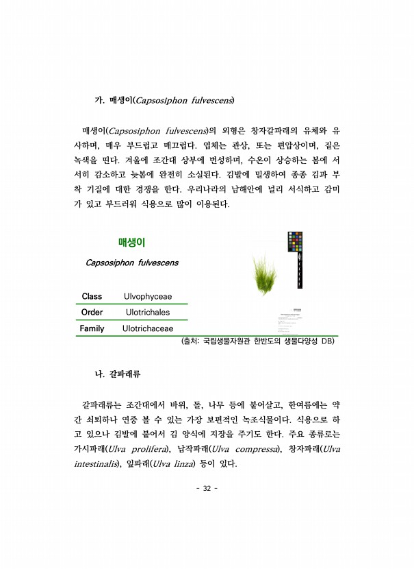 32페이지