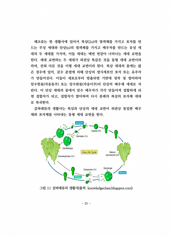 33페이지