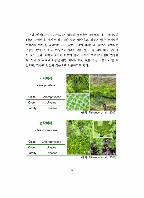 34페이지
