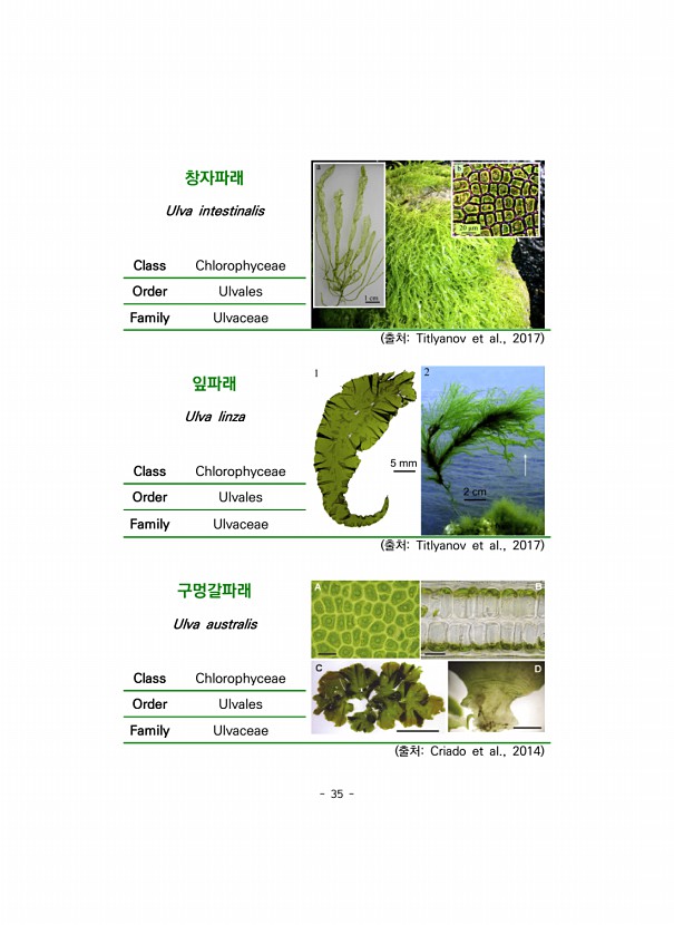 35페이지