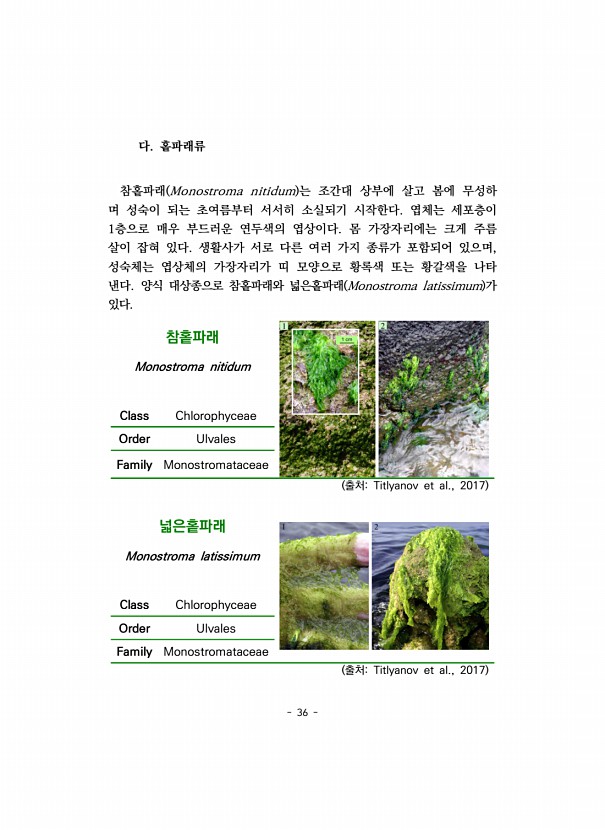 36페이지