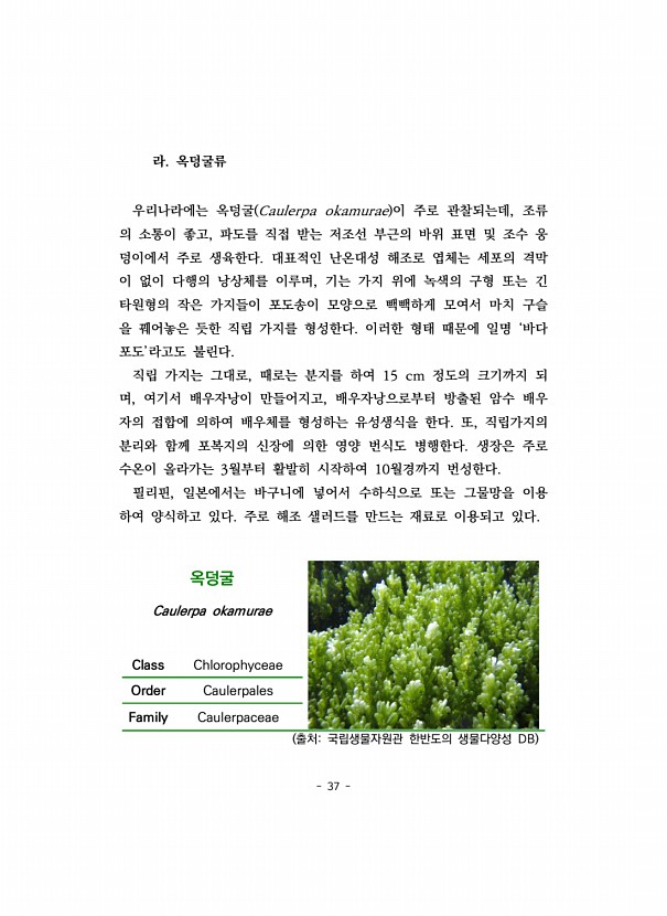 37페이지