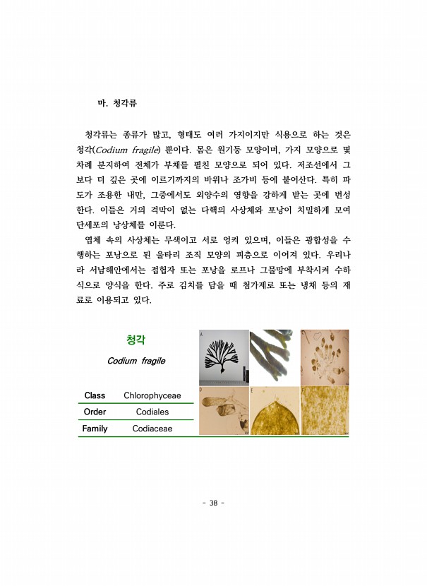 38페이지