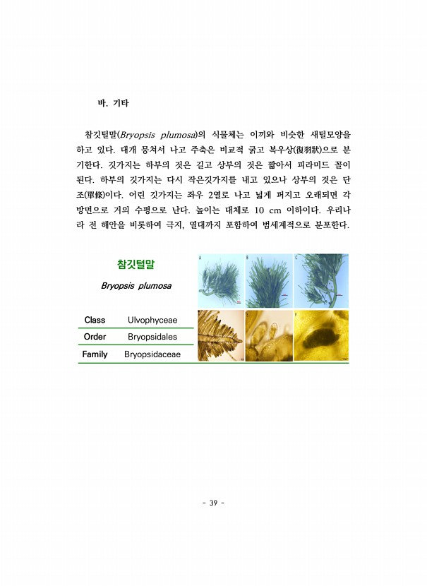 39페이지