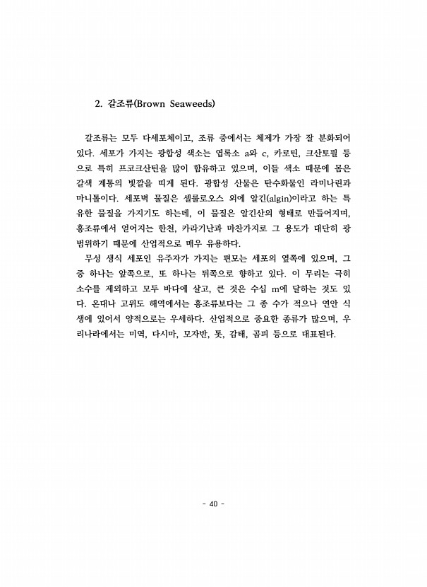 40페이지