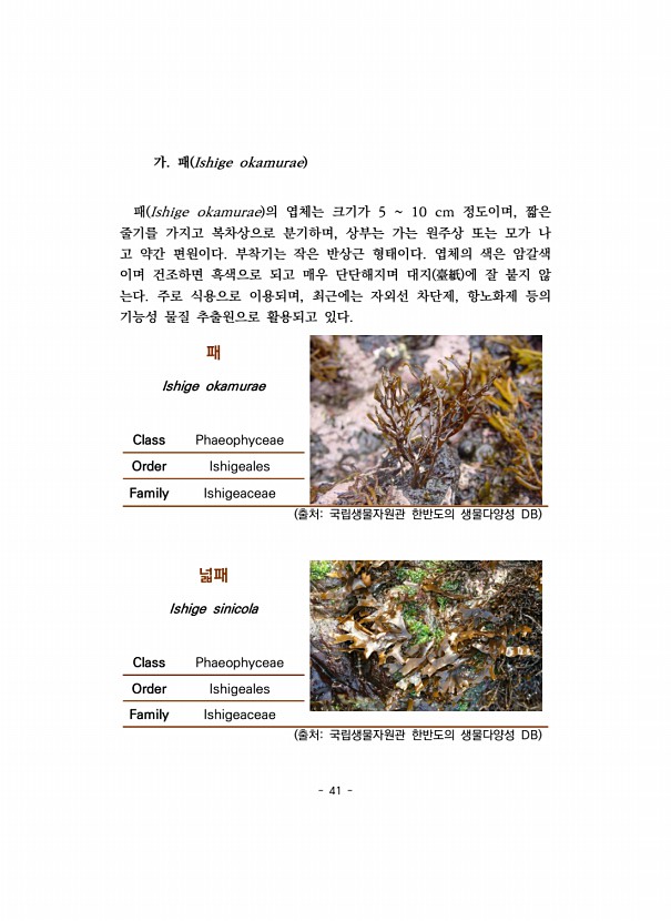41페이지