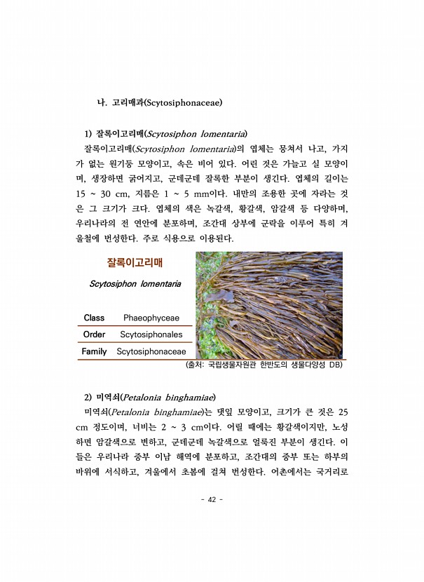 42페이지