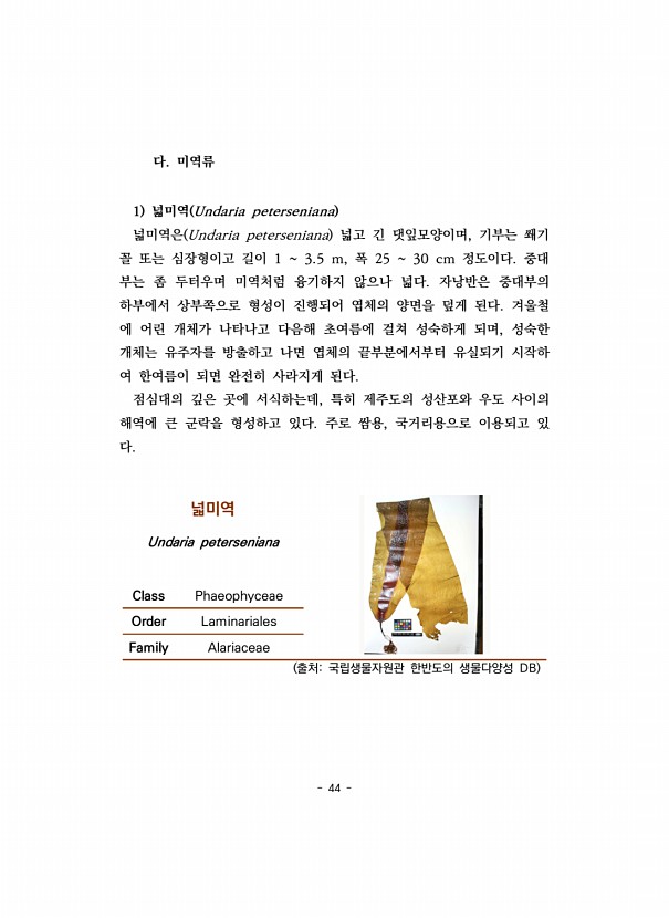 44페이지