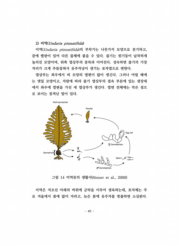 45페이지