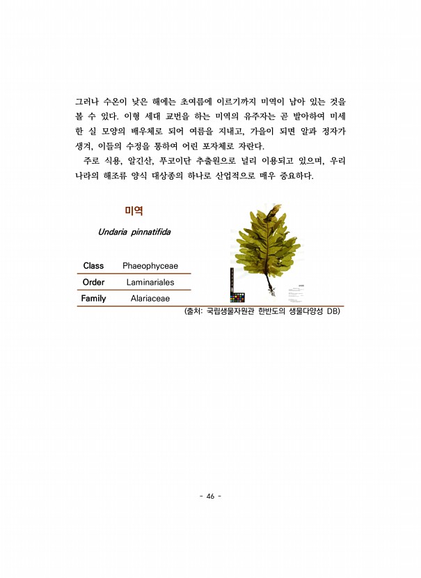 46페이지