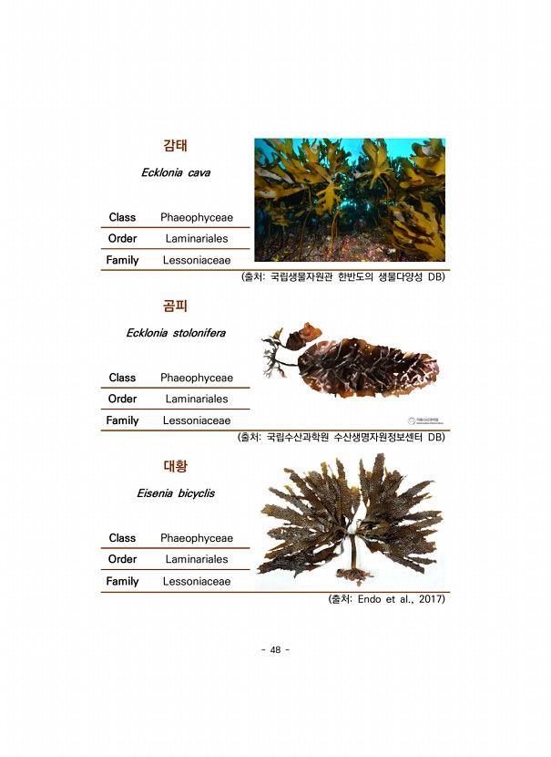 48페이지
