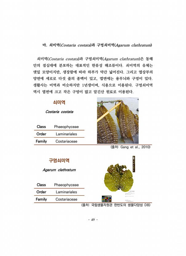 49페이지