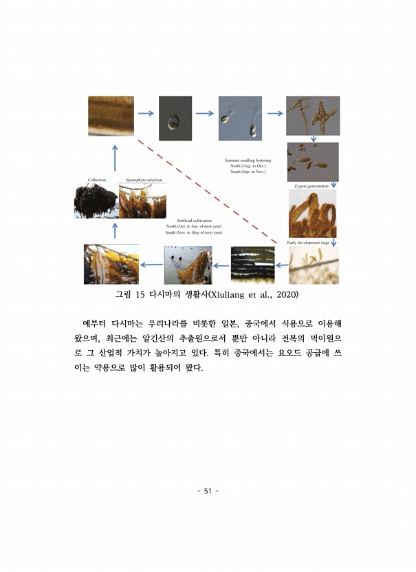 51페이지