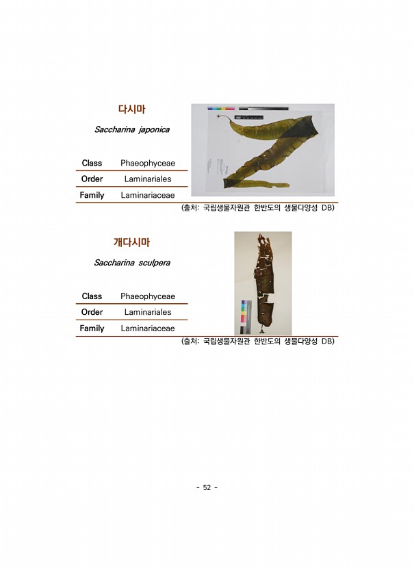 52페이지