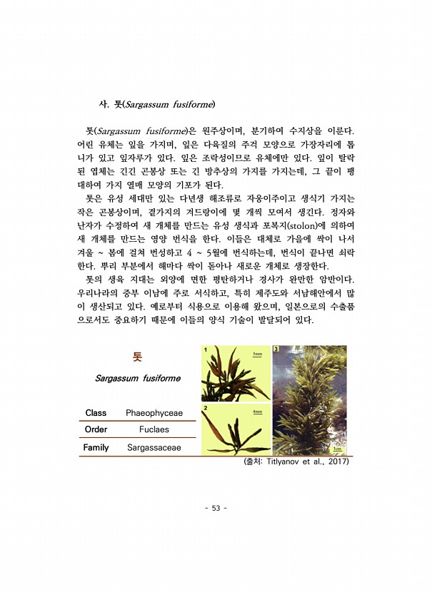 53페이지