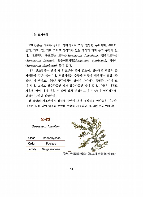 54페이지