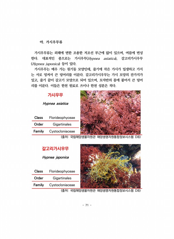 71페이지