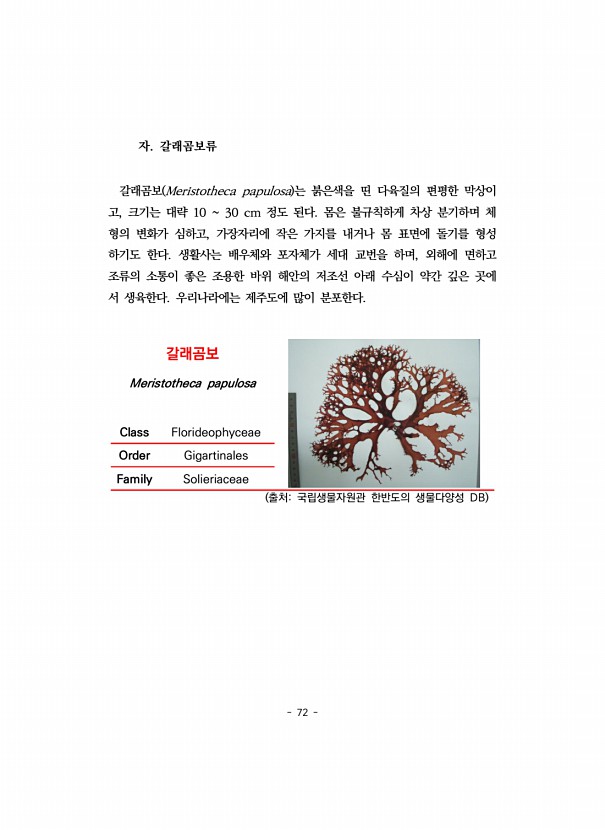 72페이지