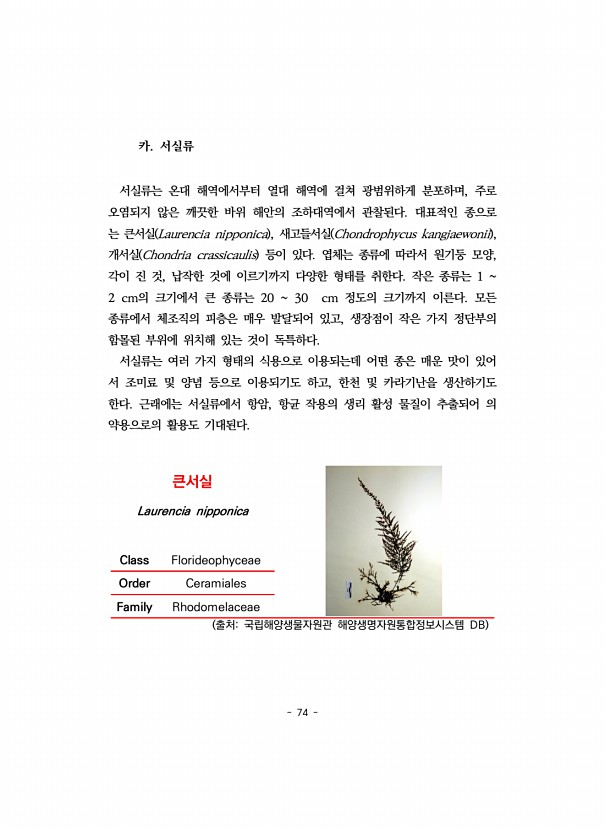 74페이지