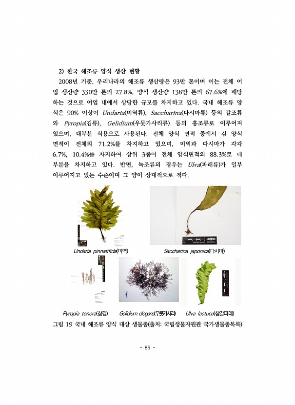85페이지