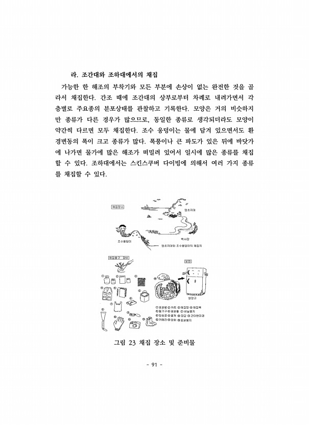 91페이지