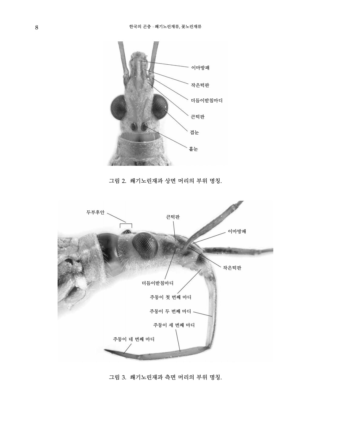 페이지