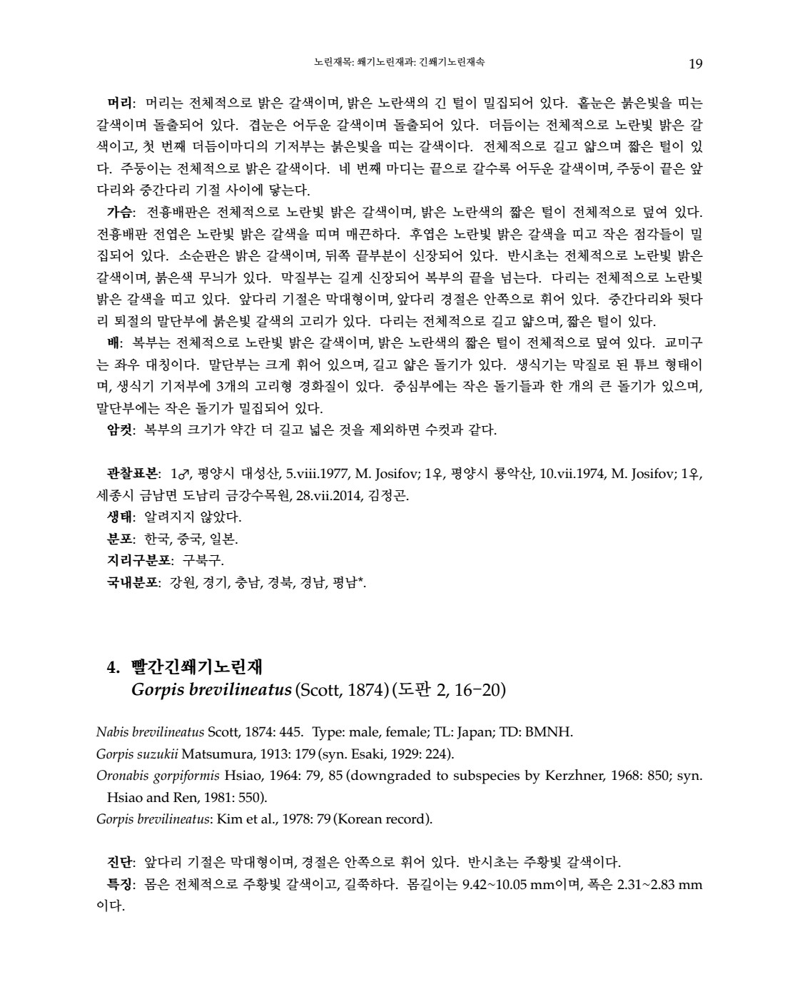 페이지