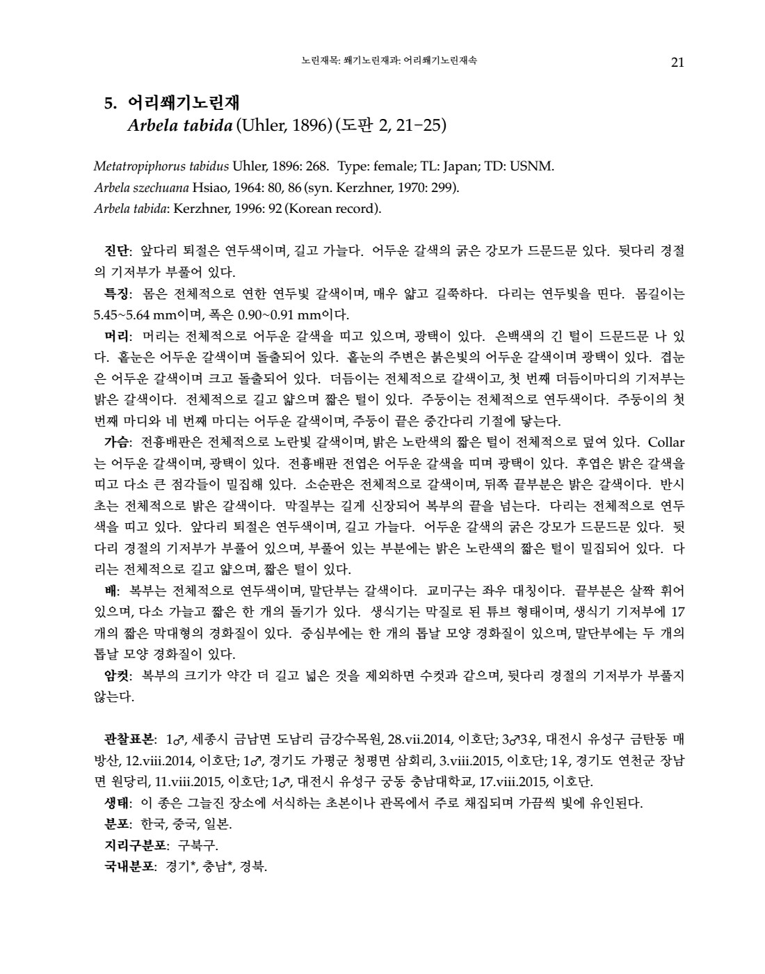 페이지