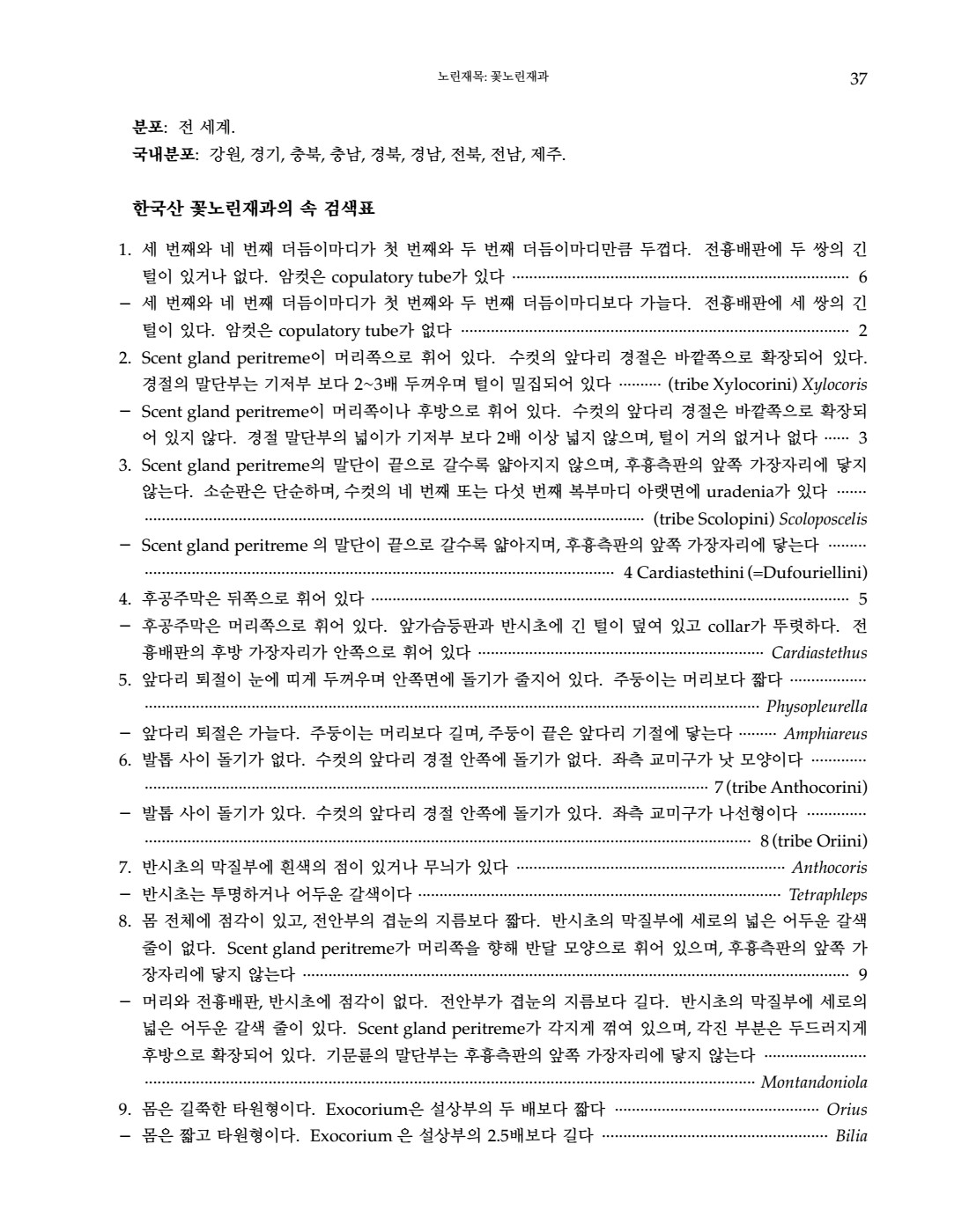 페이지