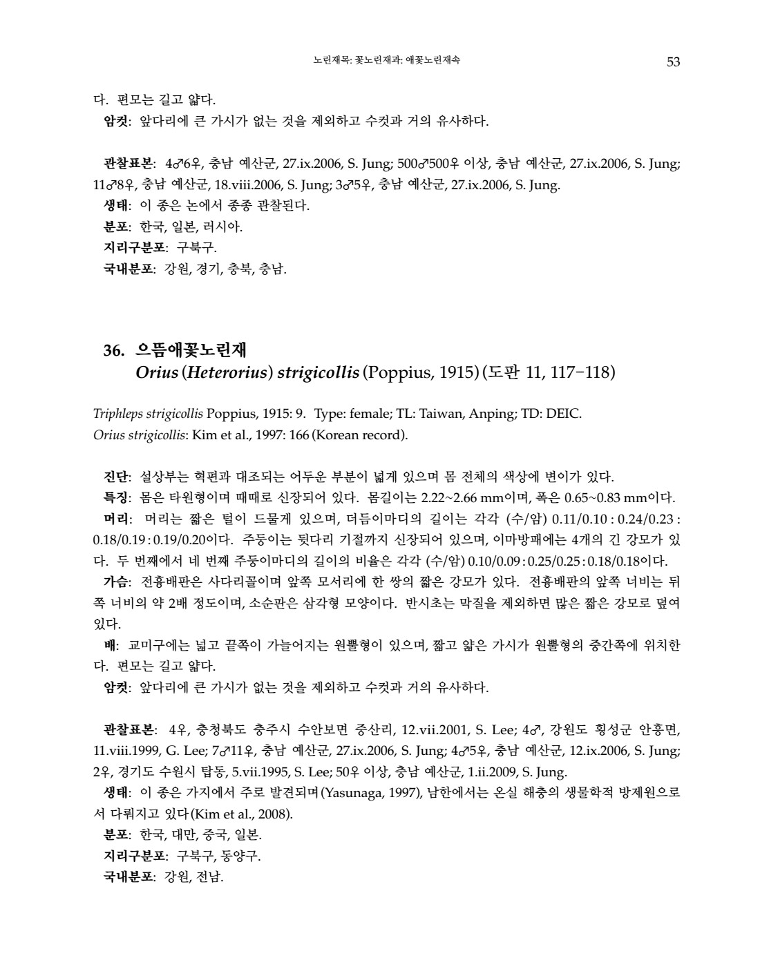 페이지