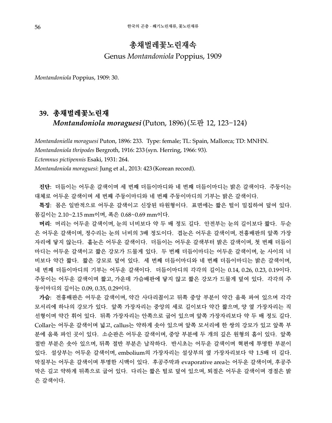 페이지