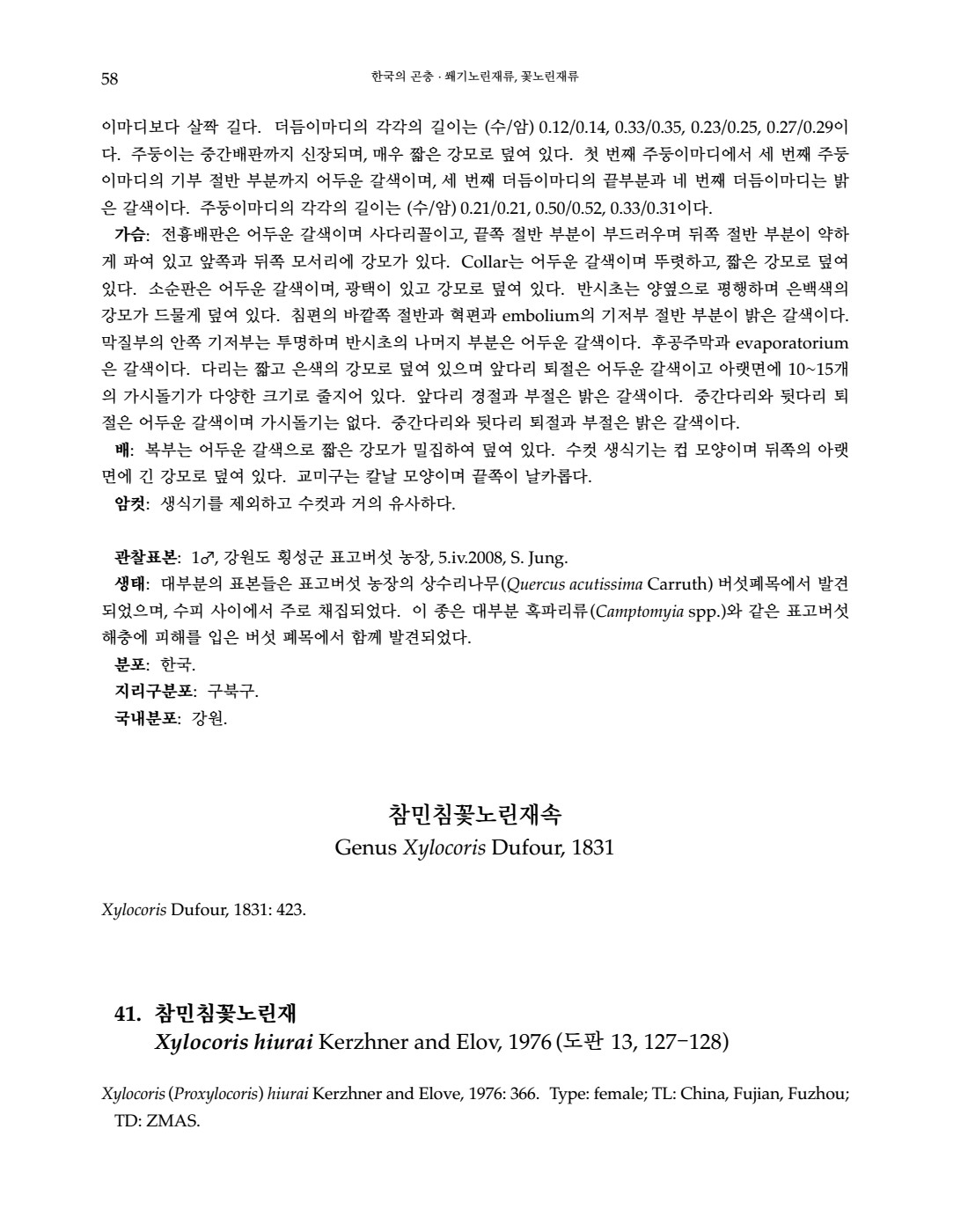 페이지
